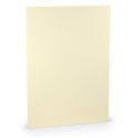 FOLIO A4 PAPERADO 10 UNIDADES CREMA