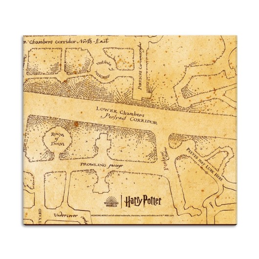 HARRY POTTER WEEKLY PLANNER WITH STICKY NOTES