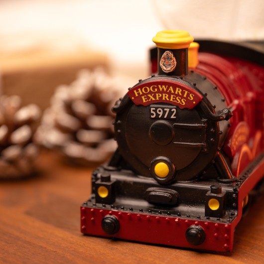 HARRY POTTER SNOW GLOBE