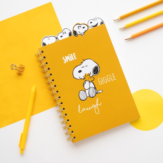 SNOOPY LAZY DAYS PROJECT NOTEBOOK