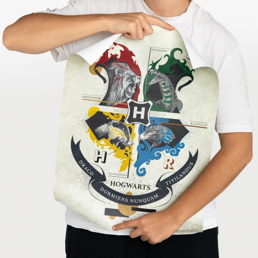 HARRY POTTER MINIPOSTER SET