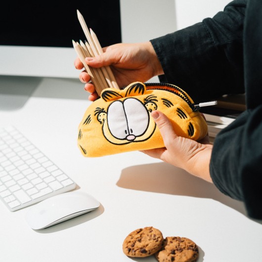 GARFIELD PLUSH CASE