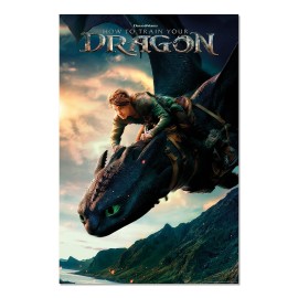 HOW TO TRAIN YOUR DRAGON LIVE ACTION POSTER 