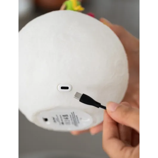 THE LITTLE PRINCE LAMP