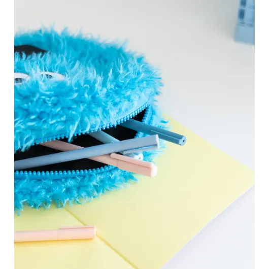 SESAME STREET BISCUIT MONSTER PLUSH CASE