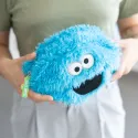 SESAME STREET BISCUIT MONSTER PLUSH CASE