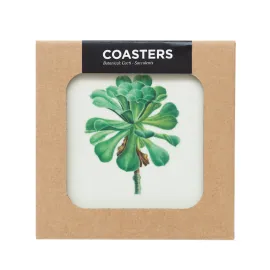 BOTANICAL CACTI SET OF 4 COASTERS