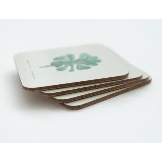 BOTANICAL CACTI SET OF 4 COASTERS