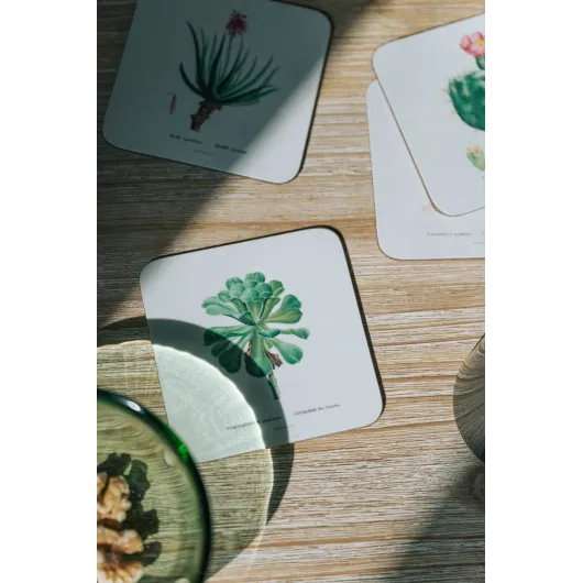BOTANICAL CACTI SET OF 4 COASTERS