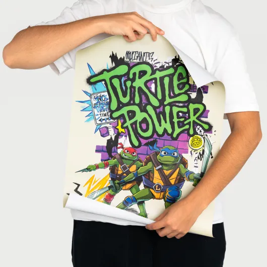 TEENAGE MUTANT NINJA TURTLES MINIPOSTER SET