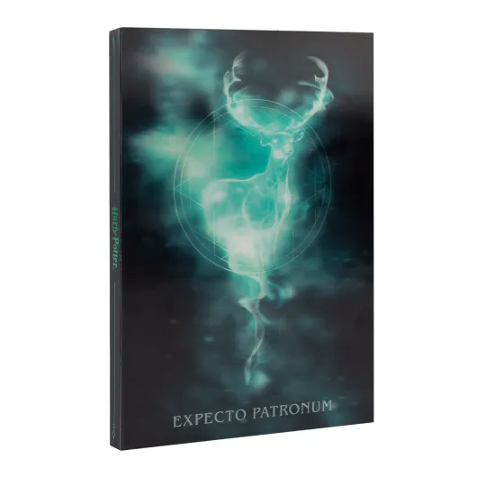 A5 HARRY POTTER LENTICULAR NOTEBOOK