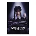 WEDNESDAY T2 2 POSTER