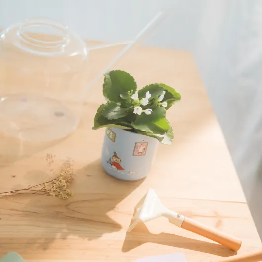 MOOMIN CERAMIC PENCIL HOLDER
