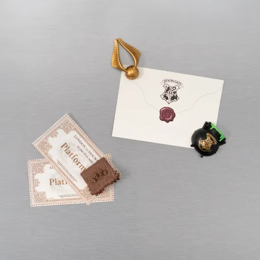 HARRY POTTER GROUP 2 SET OF MAGNETS