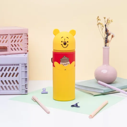 DISNEY WINNIE THE POOH 3D CASE