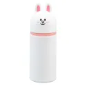 LINE FRIENDS CONY 3D CASE