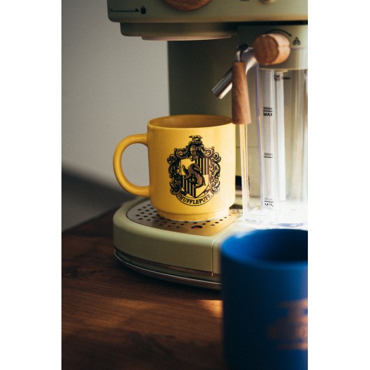 HARRY POTTER SET OF 4 MUGS