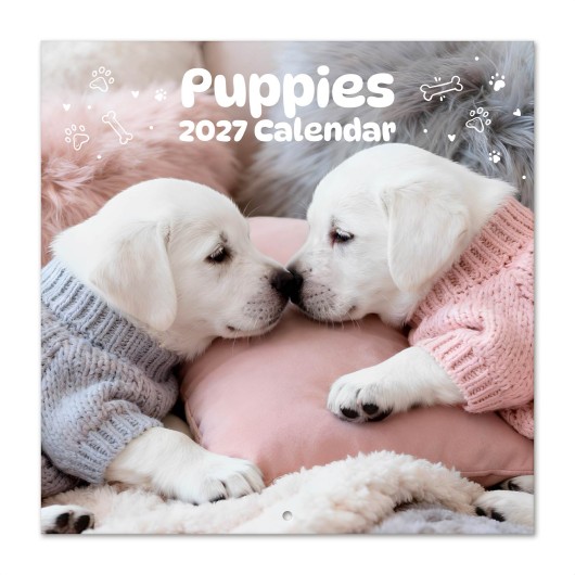 PUPPIES 2027 30X30 CALENDAR