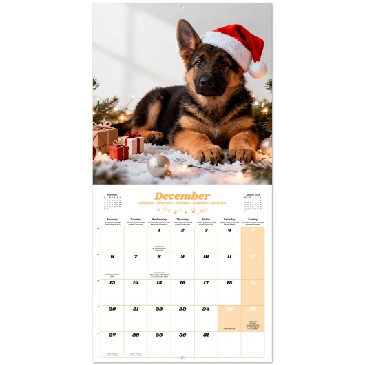 PUPPIES 2027 30X30 CALENDAR