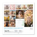 KITTENS 2027 30X30 CALENDAR