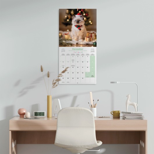 KITTENS 2027 30X30 CALENDAR