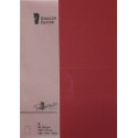 A6 CARD PAPERADO 5 UNITS MAROON