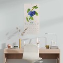 BOTANY FRUITS 2027 30X30 CALENDAR US