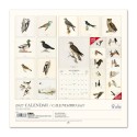 VINTAGE BIRDS 2027 30X30 CALENDAR US