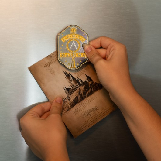 HARRY POTTER LUMOS MAXIMA MAGNET