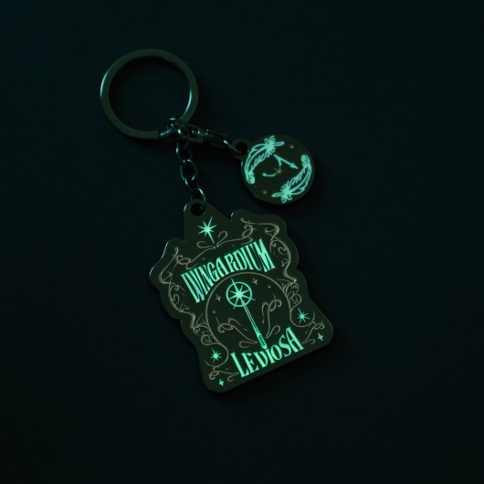 HARRY POTTER WINGARDIUM LEVIOSA KEYRING