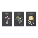 SLEEPLESS GARDEN PACK 3 A5 NOTEBOOKS