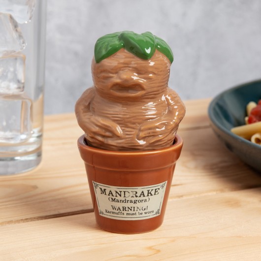 MANDRAKE PLANT POT SALT AND PEPPER SET