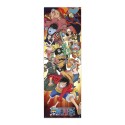 ONE PIECE DOOR POSTER