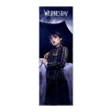 WEDNESDAY DOOR POSTER