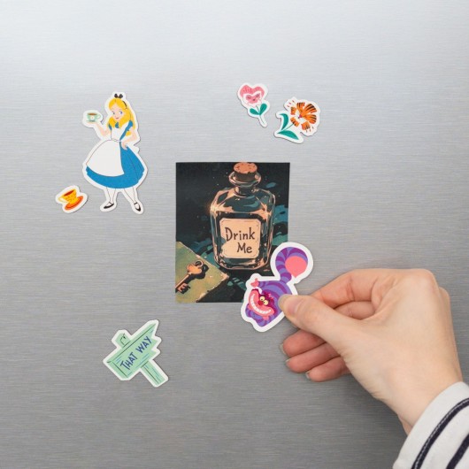 DISNEY ALICE IN WONDERLAND DIE-CUT MAGNET SET