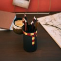 HARRY POTTER HARRY 3D CASE