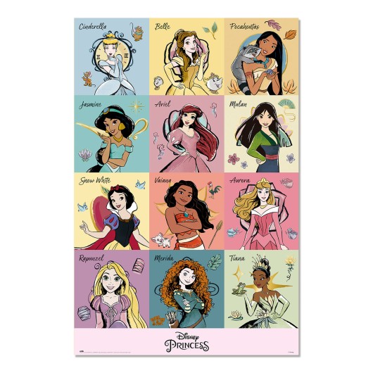 DISNEY PRINCESSES BRUSH STROKES POSTER