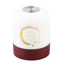 HARRY POTTER HEDWIG AMBIENT LAMP