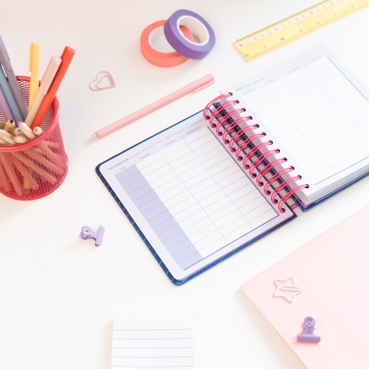 KPOP DEMON HUNTERS 2026/2027 11 MONTHS 1 DAY PAGE M ACADEMIC DIARY