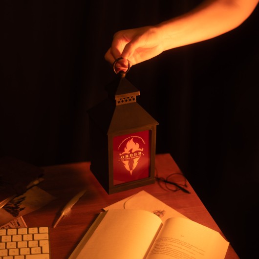 HARRY POTTER THE ORDER OF THE PHENYX LAMP