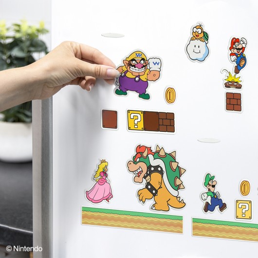 SUPER MARIO MAGNETS
