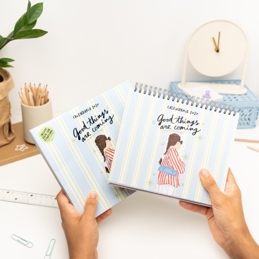 ANA MARIN 2027 DESK CALENDAR