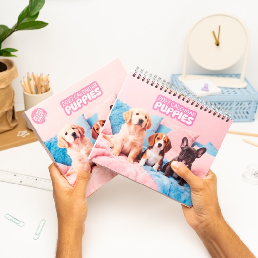 PUPPIES 2027 DESK CALENDAR