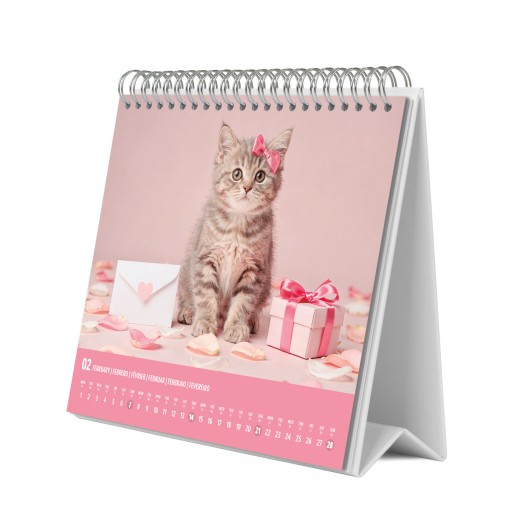 KITTENS 2027 DESK CALENDAR