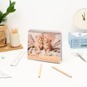 KITTENS 2027 DESK CALENDAR