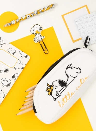 Stationery and desk supplies