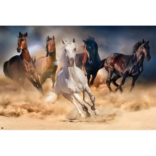 POSTER FIVE HORSES