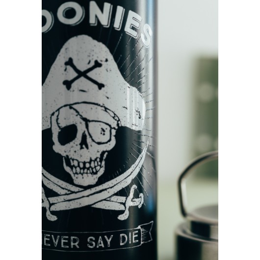 BOTELLA METALICA HOT&COLD 550ML THE GOONIES