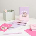 PACK 3 CUADERNOS A6 PUSHEEN MOMENTS