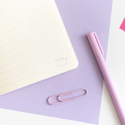 PACK 3 CUADERNOS A6 PUSHEEN MOMENTS